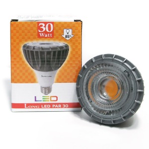 롱 LED PAR30 220V 30W (집중형)